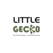 Little Gecko Technology Little Gecko Technology